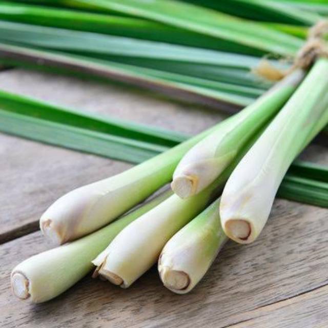 Serai - Langsung dari Petani Pariaman