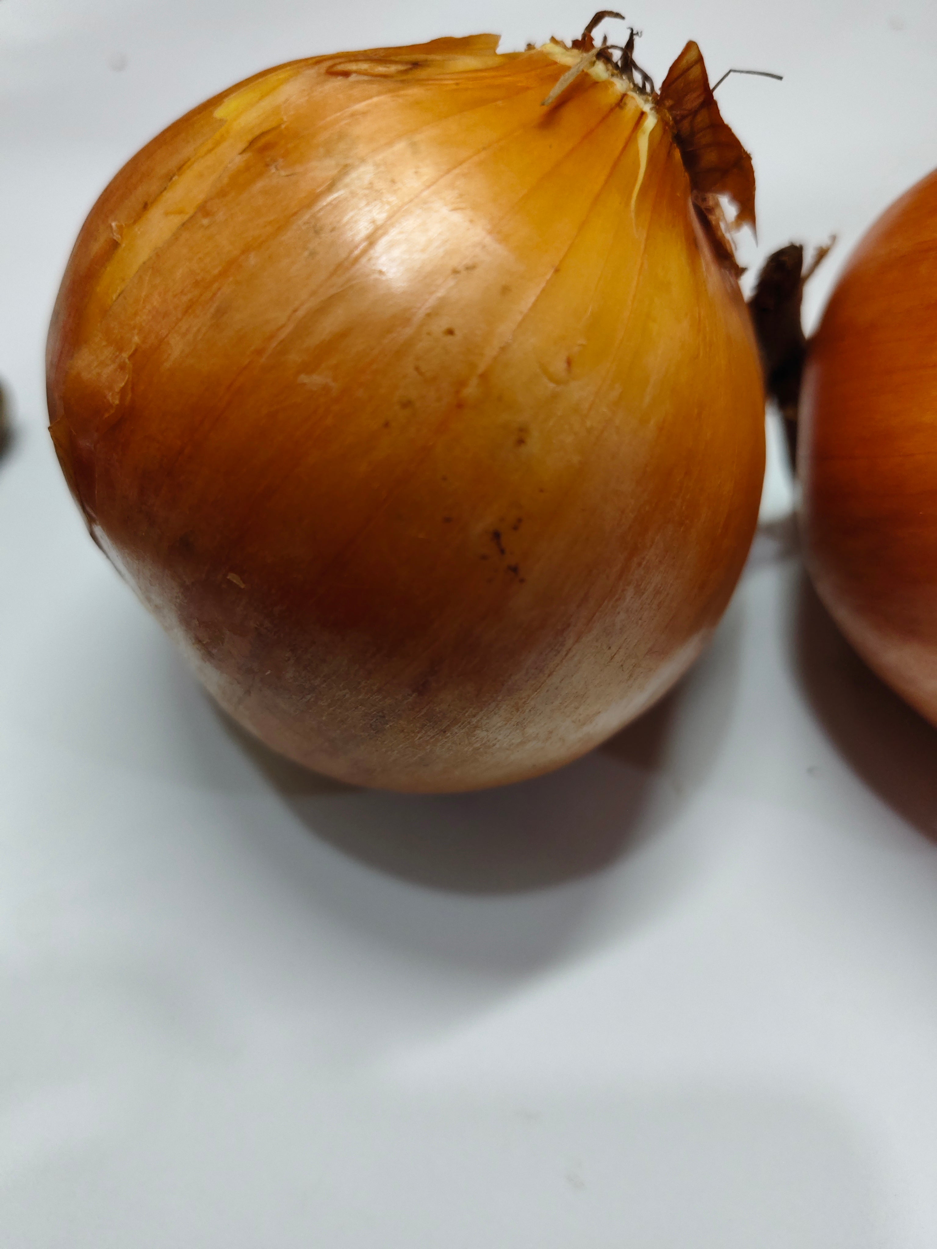 Bawang Bombay