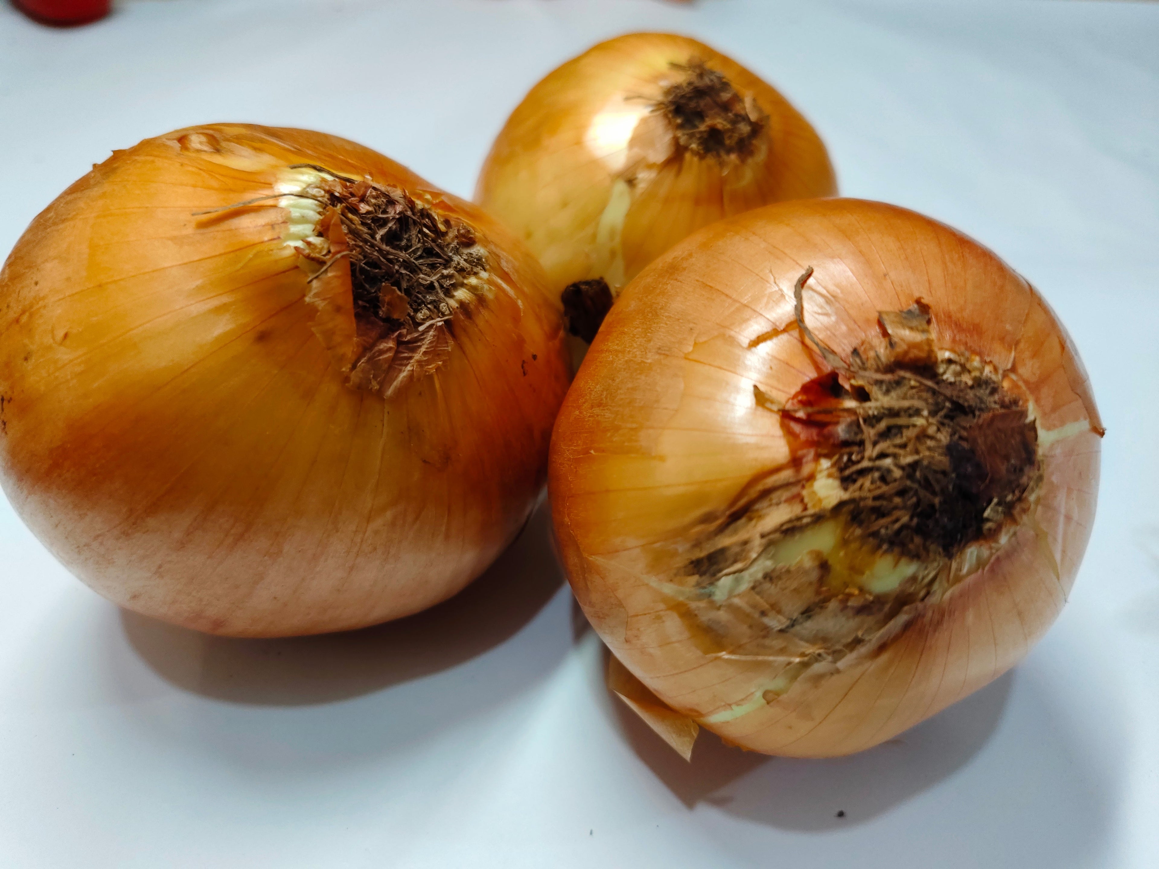 Bawang Bombay