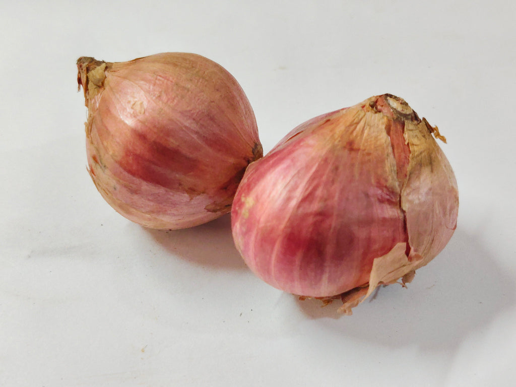 Bawang Merah Jumbo