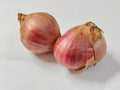 Bawang Merah Jumbo