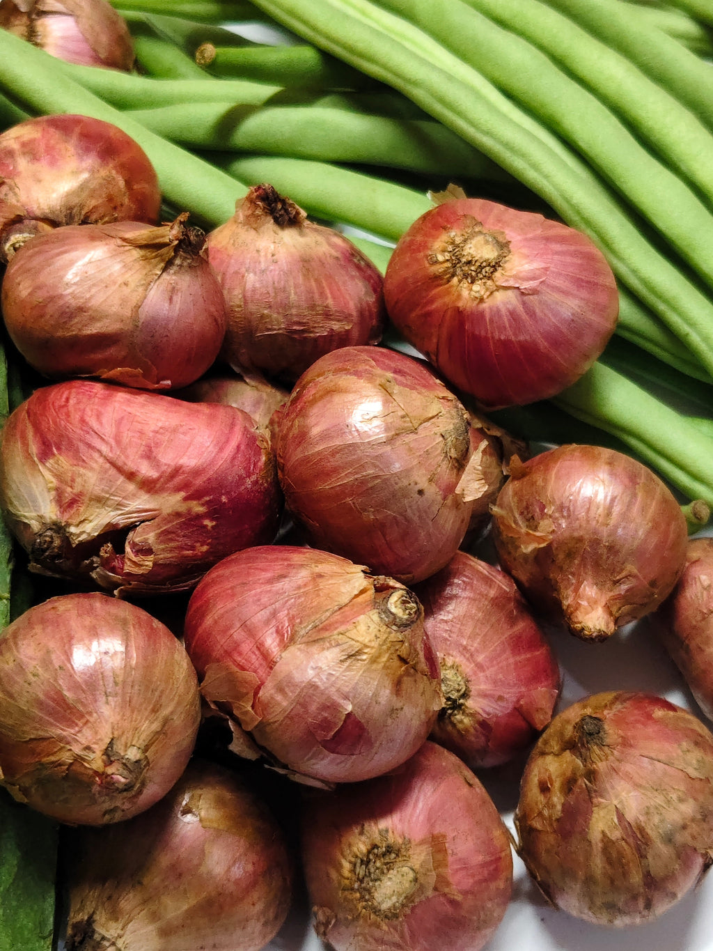 Bawang Merah Jumbo