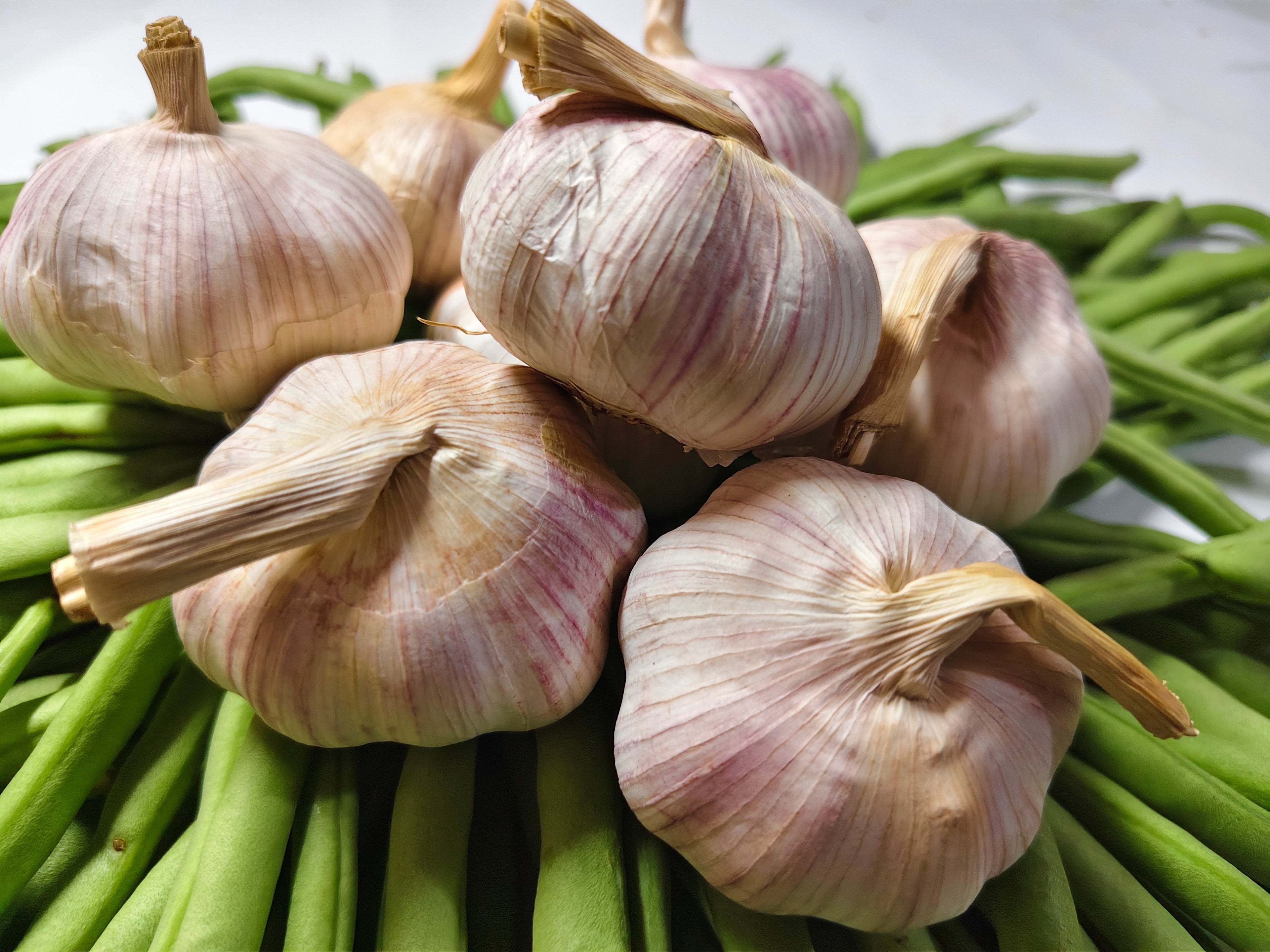 Bawang Putih