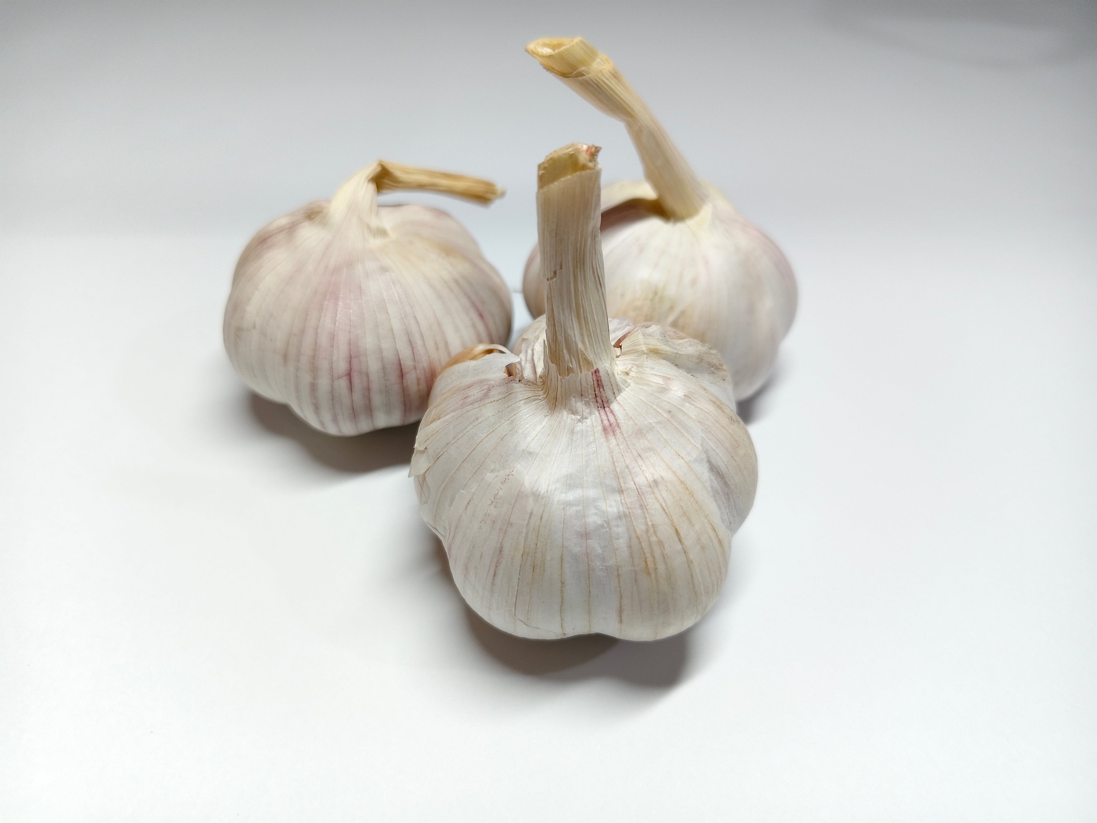 Bawang Putih