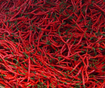 Cabai Merah Keriting - Langsung dari Petani Solok