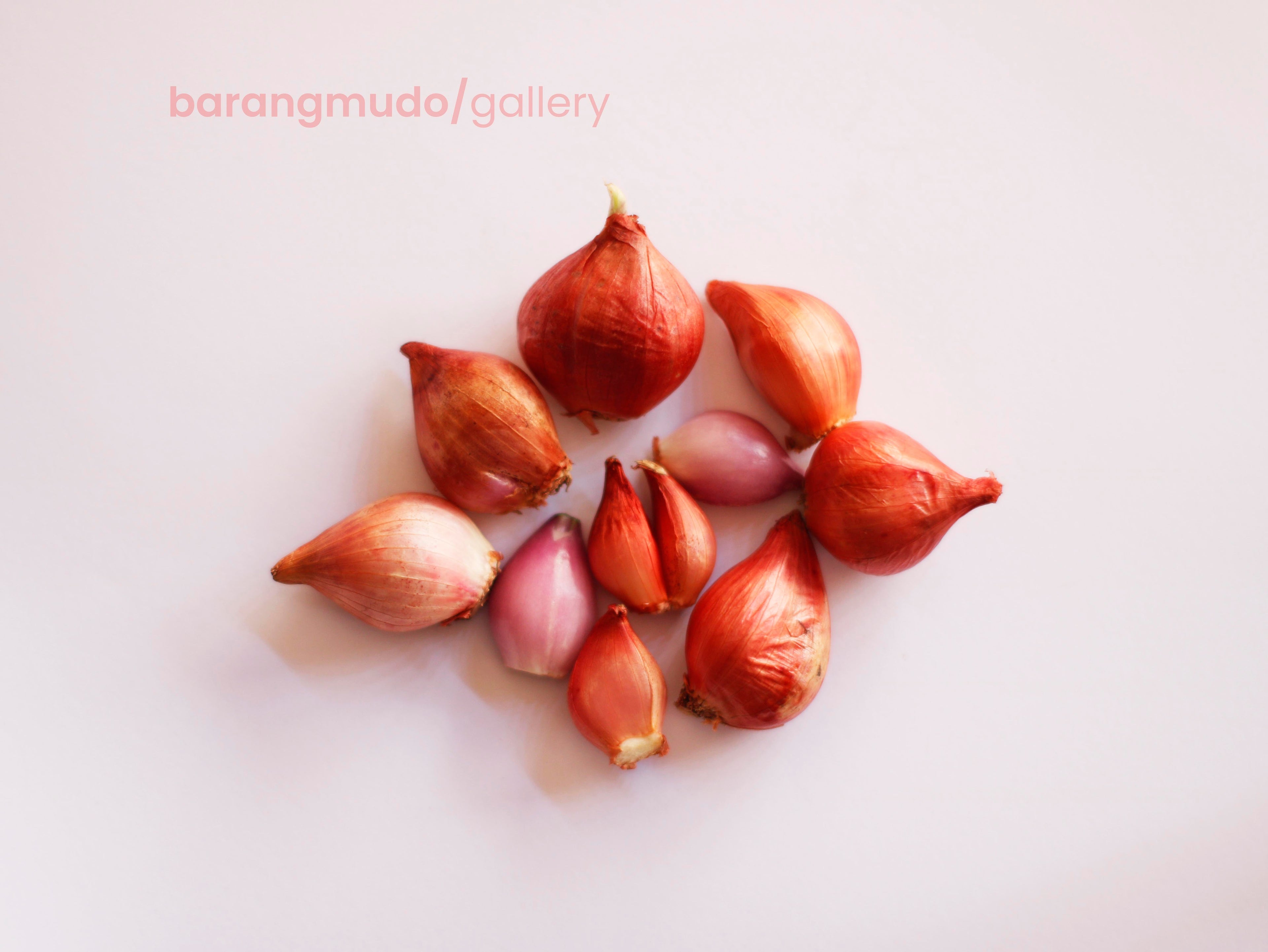 Bawang Merah Kecil  ( Ampera )