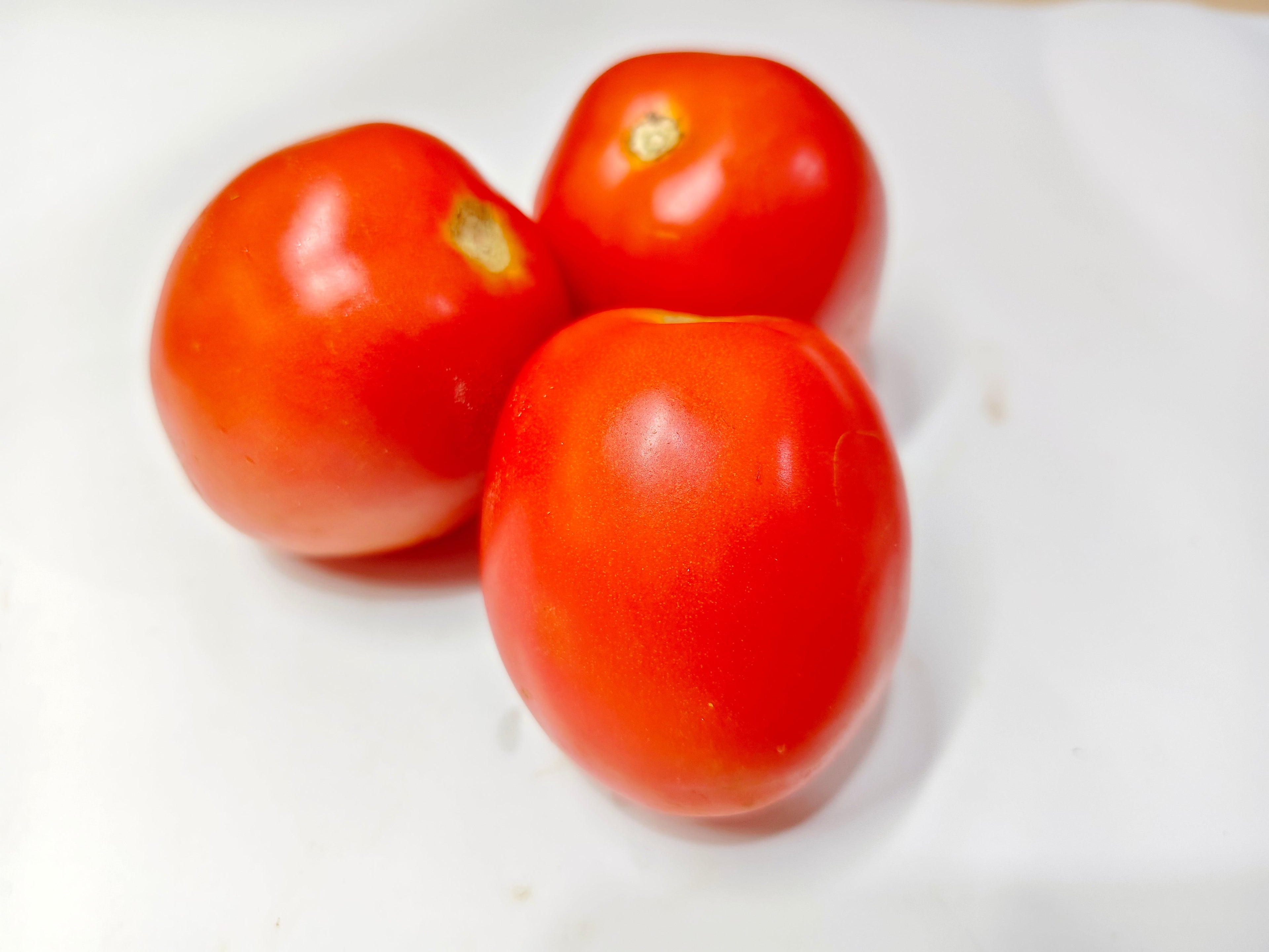Tomat Merah