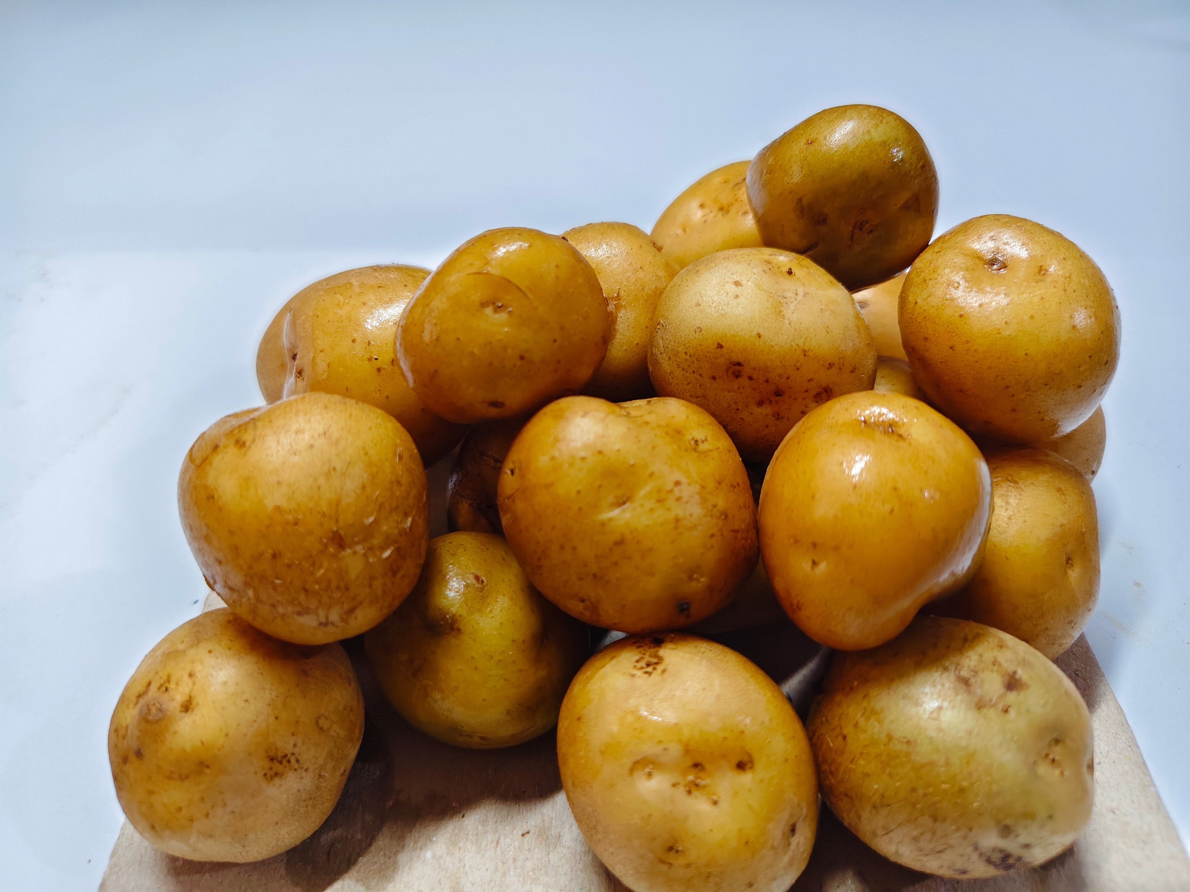 Kentang Kecil