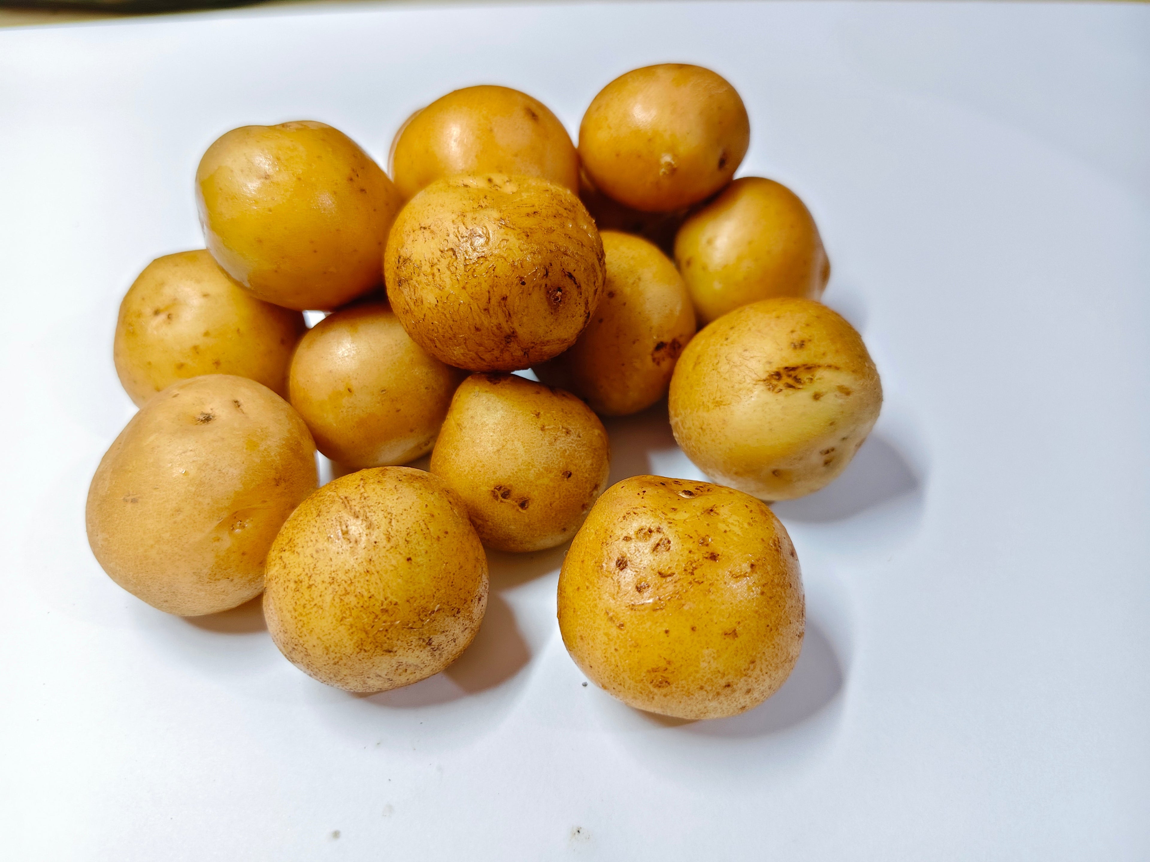 Kentang Kecil