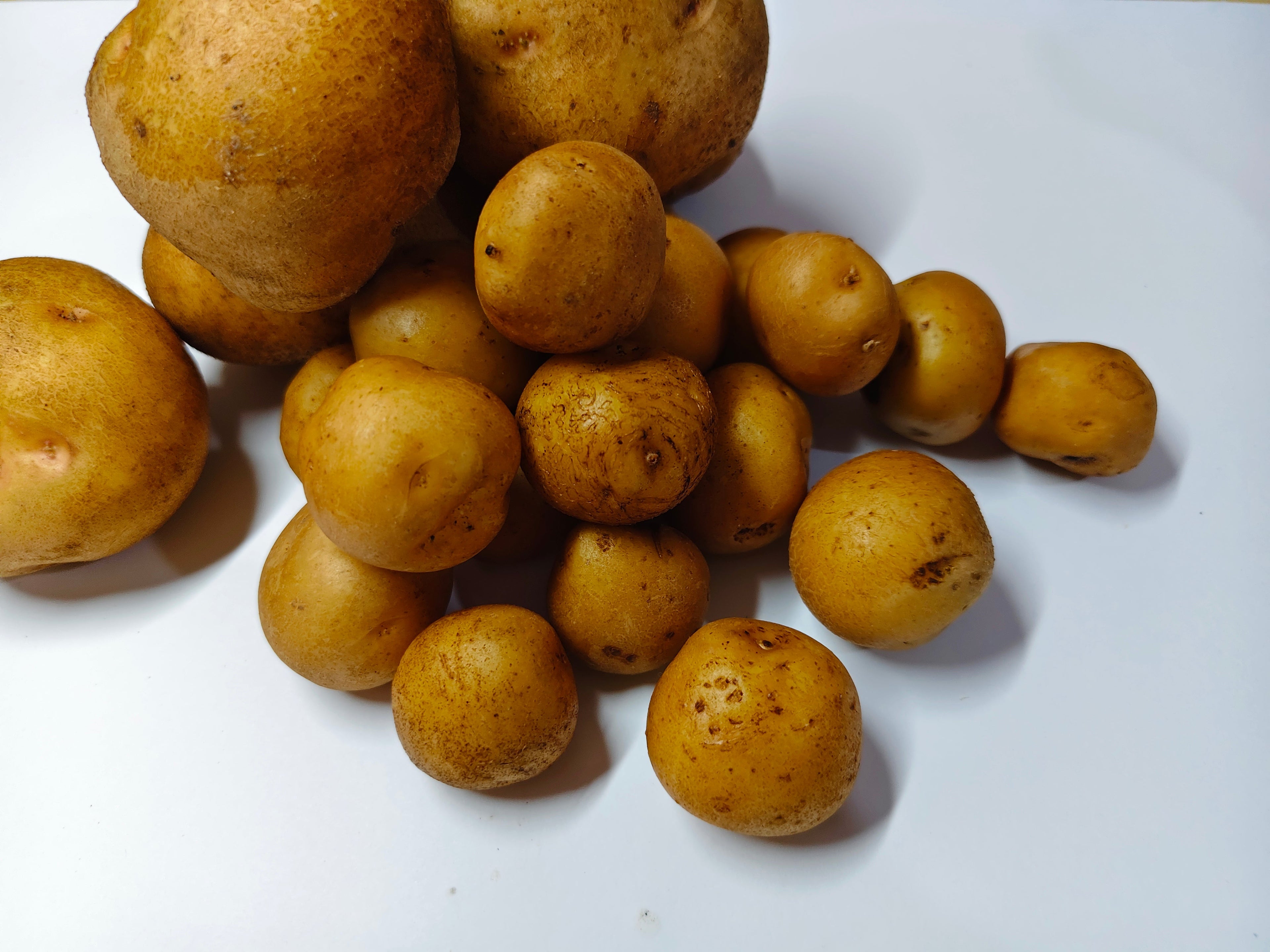Kentang Kecil