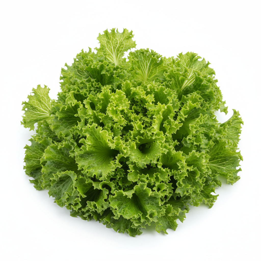 Sayur Selada