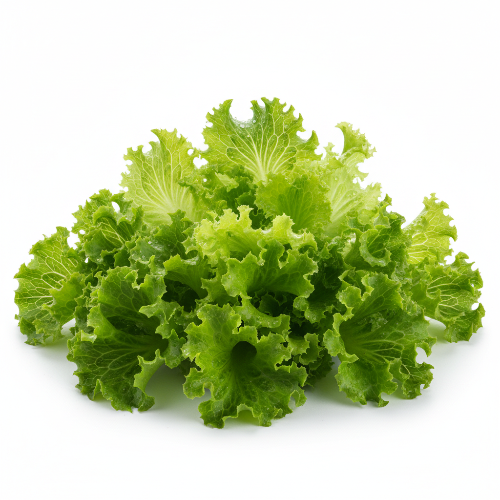 Sayur Selada