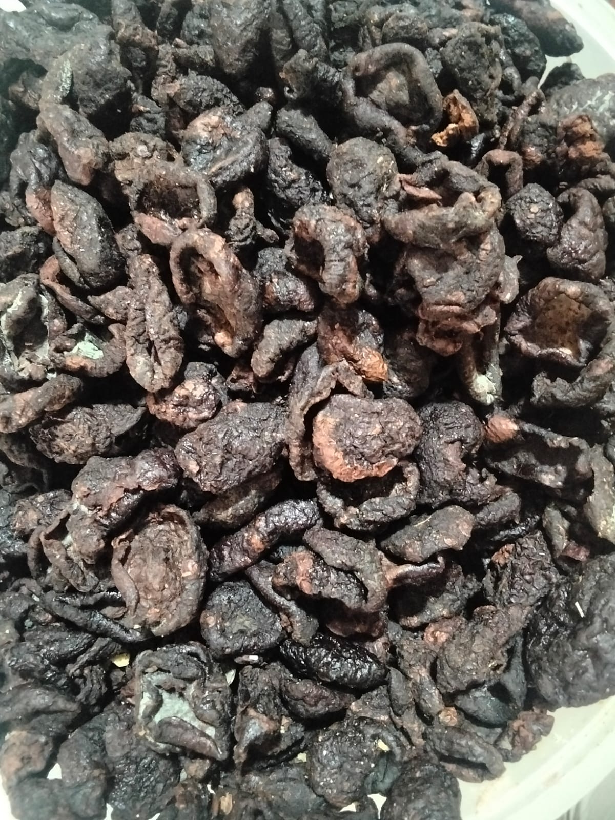 Herba & Rempah